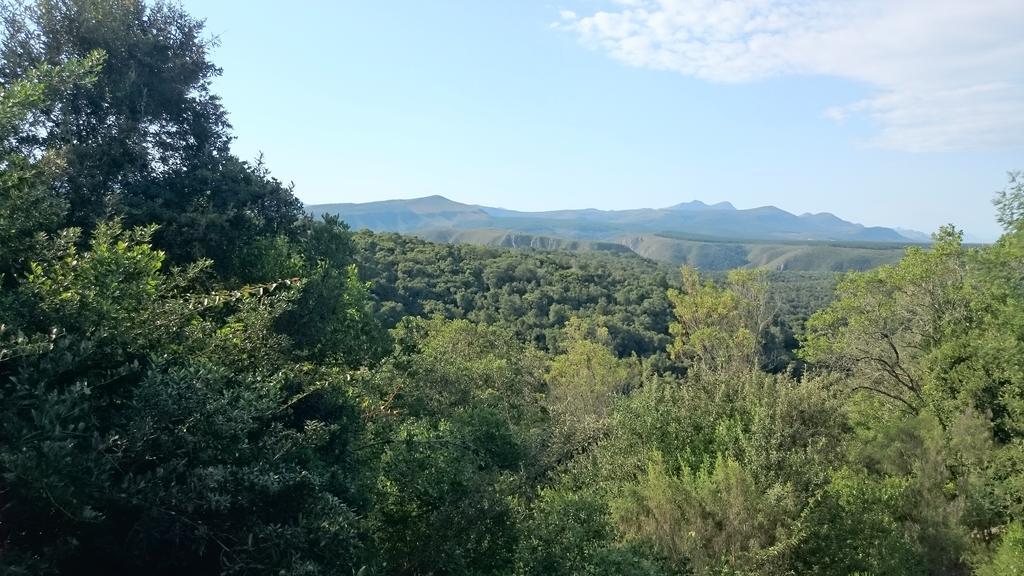 Plettenberg Bay Game Reserve: The Baroness Safari Lodge Ngoại thất bức ảnh