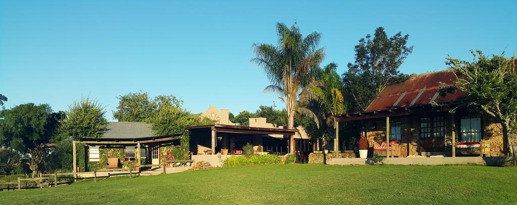Plettenberg Bay Game Reserve: The Baroness Safari Lodge Ngoại thất bức ảnh