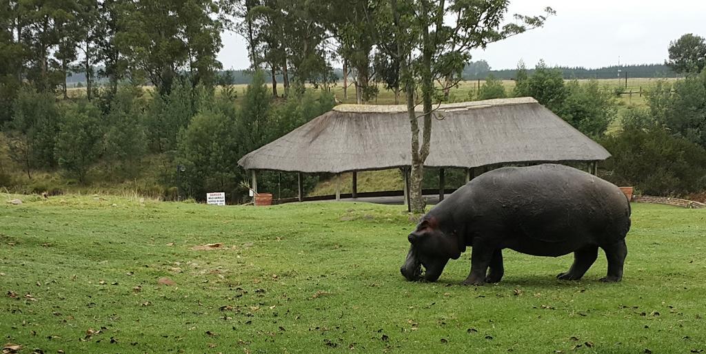 Plettenberg Bay Game Reserve: The Baroness Safari Lodge Ngoại thất bức ảnh